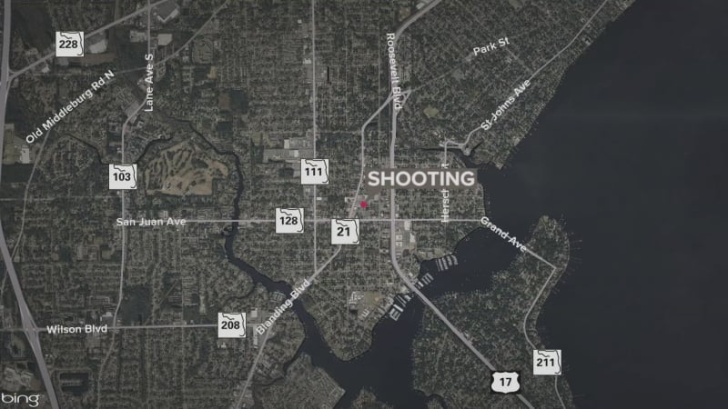 Donna Marathon Raises $240K in 20-Degree Cold for Survivors - Image 4