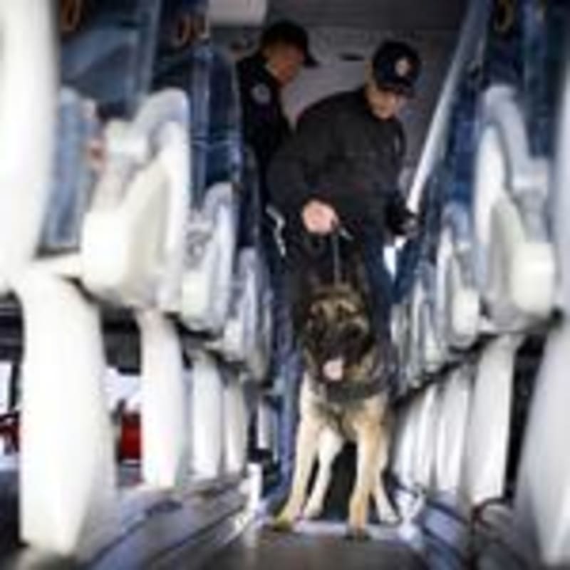 Interpol Rescues 4,400 Trafficking Victims in 119 Nations - Image 3