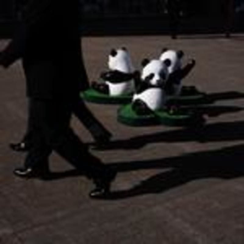 Tokyo Fans Celebrate Beloved Pandas Before China Return - Image 4
