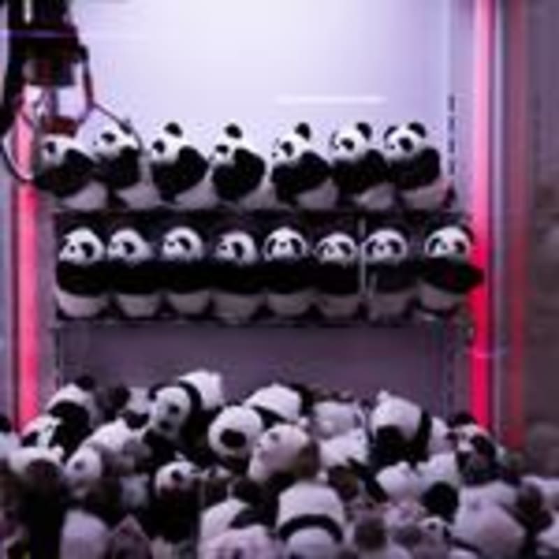 Tokyo Fans Celebrate Beloved Pandas Before China Return - Image 3