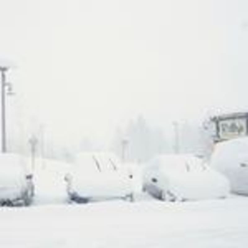6 Backcountry Skiers Found Safe in Sierra Avalanche - Image 5