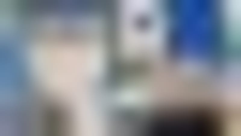 500-Million-Year-Old Fossils Still Hold Organic Material - Image 5