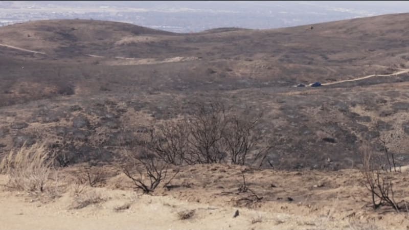 Boise Closes Trails to Help 3,000 Animals Recover from Fire