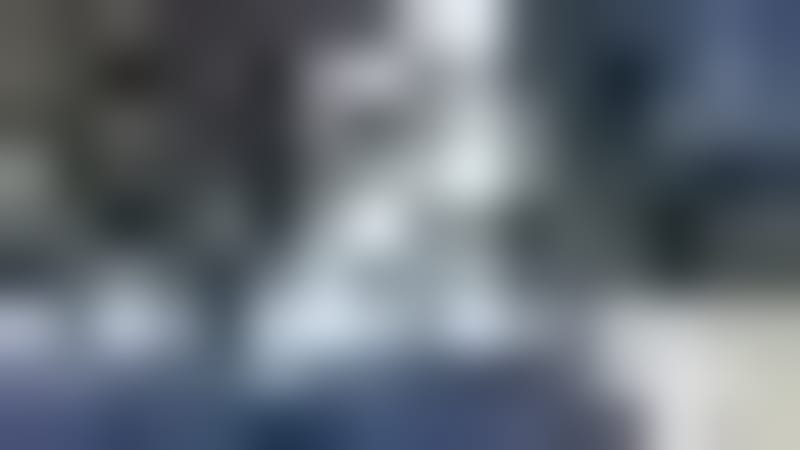 Boise Closes Trails to Help 3,000 Animals Recover from Fire - Image 3