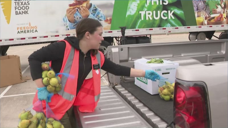 Austin Food Bank Needs 250 Volunteers After Winter Storm