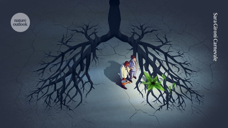 Colorful microscopic image of human lung organoid showing cellular structure and regenerative capacity