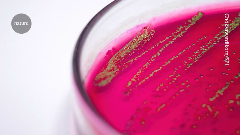 Scientists Turn Bacteria Into Light-Powered Chemical Factories