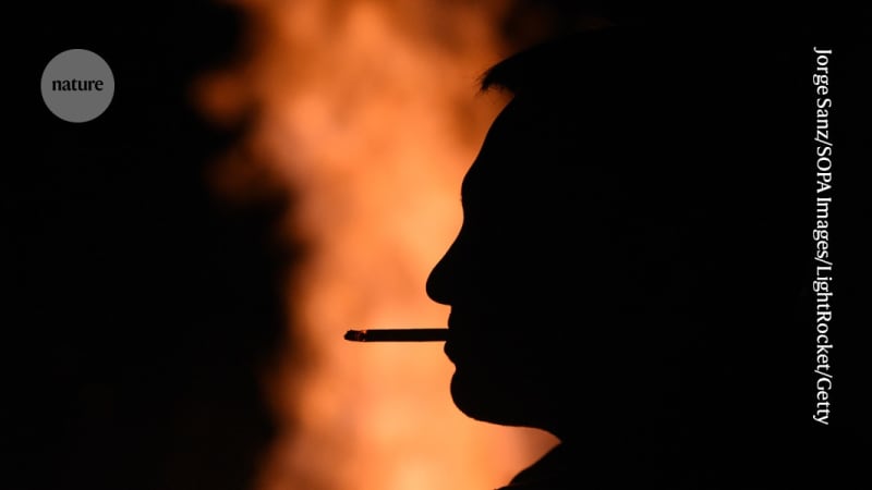 40% of Cancer Cases Are Preventable, Study Finds