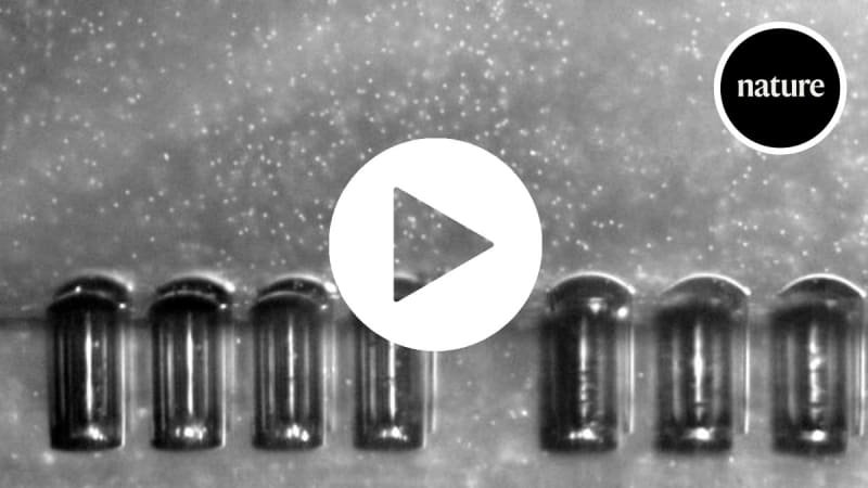 Tiny Robot Fish Swim Through Bodies Using Ultrasound