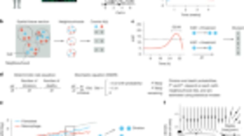 40% of Cancer Cases Are Preventable, Study Finds - Image 4