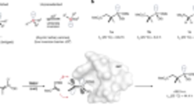 Scientists Turn Bacteria Into Light-Powered Chemical Factories - Image 2