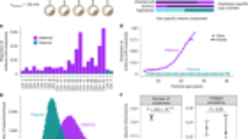 5 Genes Discovered Behind Gradual Blindness in 2M People - Image 5