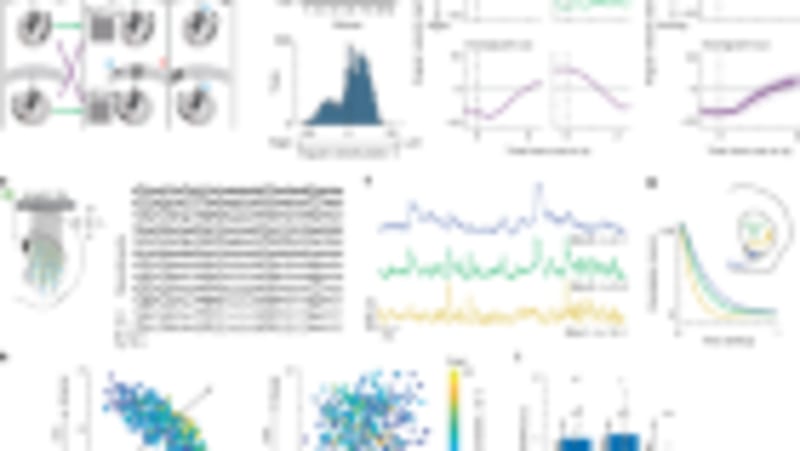 Exercise Rewires Your Brain to Boost Endurance - Image 2