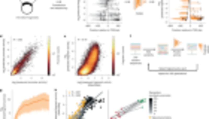 Scientists Crack Code of Skin's Natural Healing Ridges - Image 2
