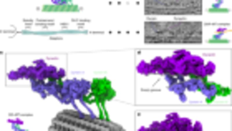 New AI Predicts Drug Interactions Better Than Ever - Image 4