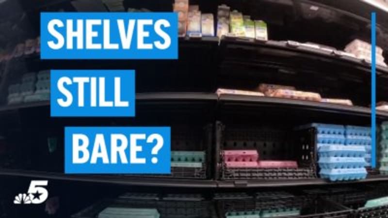 Texas Runner Breaks World Record in 7 Marathons Challenge - Image 5