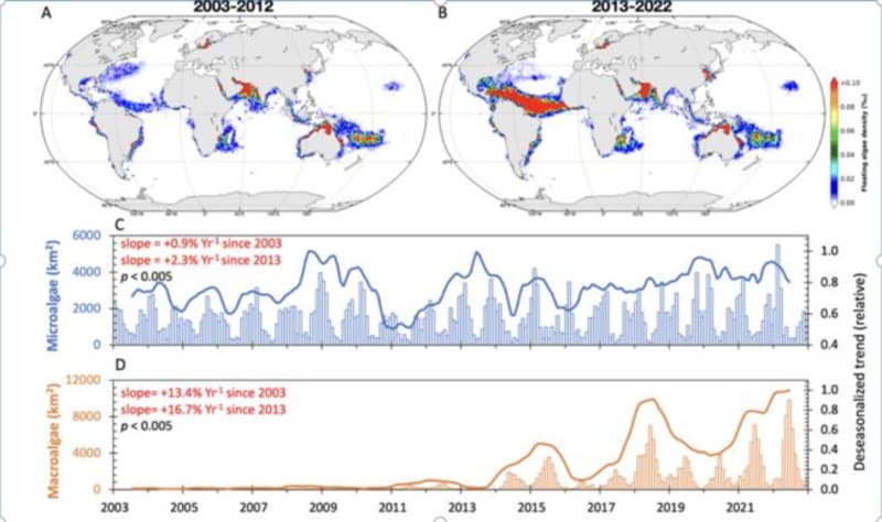 AI Reveals Ocean Algae Blooms Growing Worldwide Since 2010 - Image 3