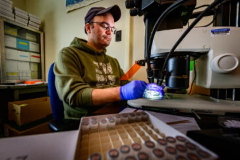 Illinois Farm System Cuts Nitrogen 58%, Phosphorus 92% - Image 3