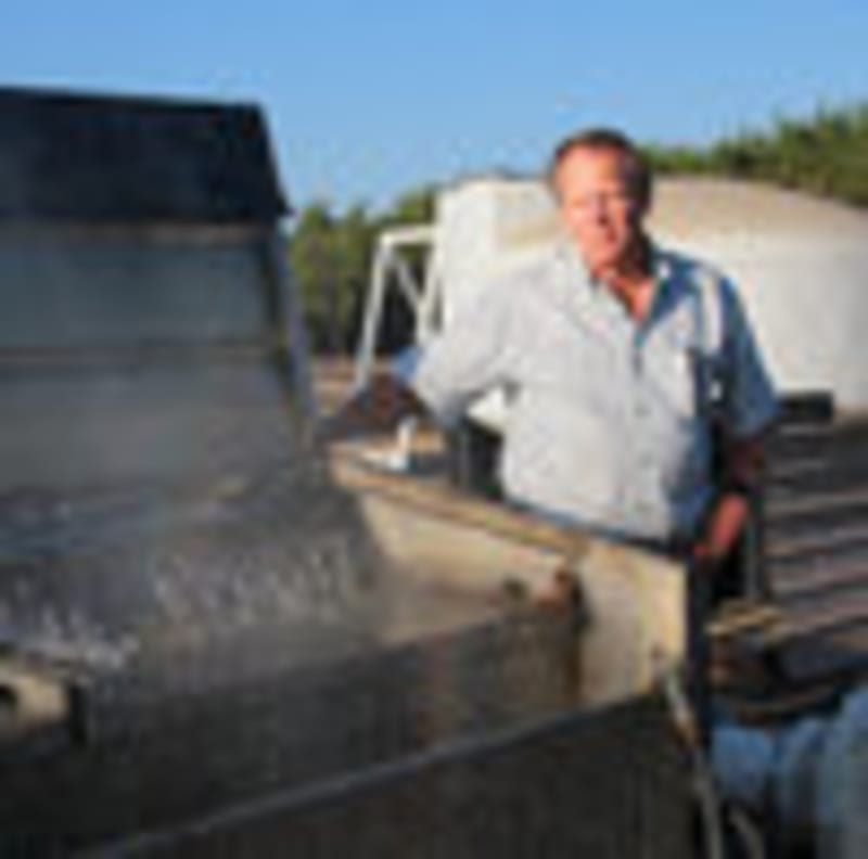 California Farmers Turn Fallow Land Into Solar Giant - Image 3