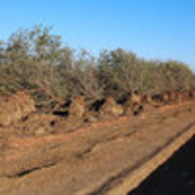 California Farmers Turn Fallow Land Into Solar Giant - Image 5