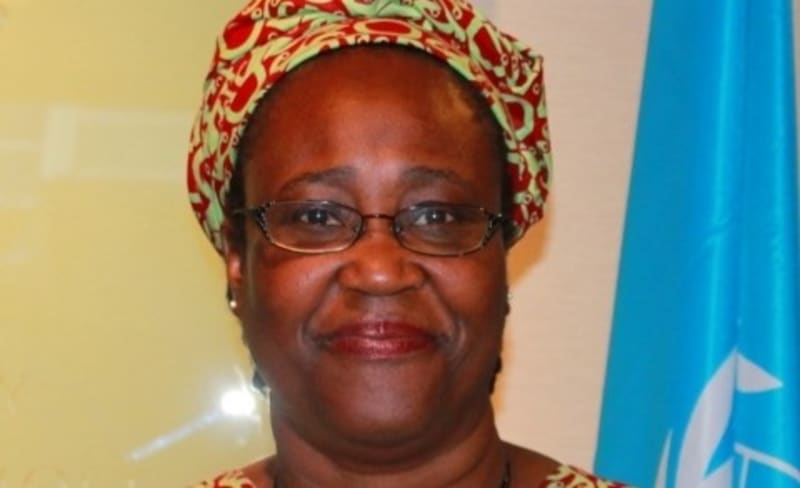 Billionaire Pledges $688M to Educate 1.3M Nigerian Students