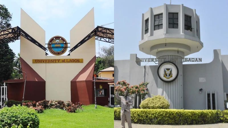 Nigerian university students celebrating academic achievement on campus with books and graduation caps