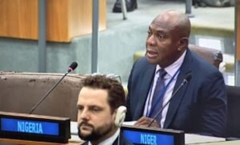 Nigeria Chairs Key UN Peacekeeping Panel for 54th Time