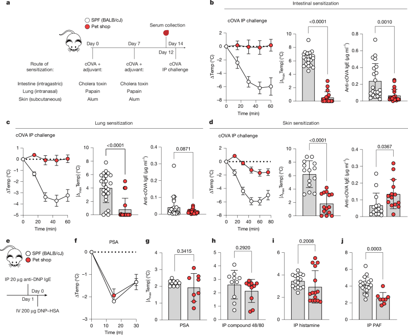 Scientists Find Why Some People Never Get Allergies - Image 2