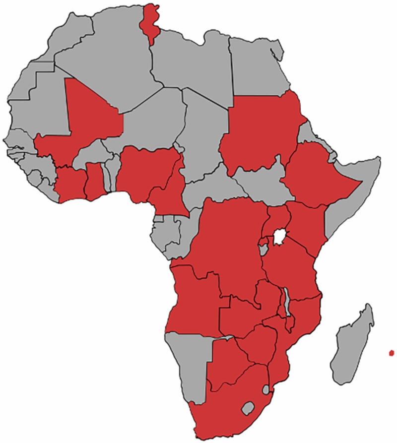 African scientists working with computers analyzing health data and artificial intelligence medical technology