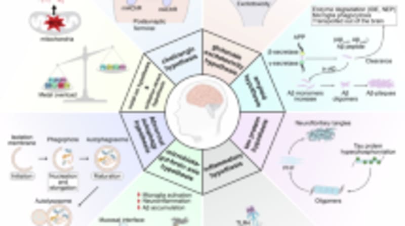First Alzheimer's Drug in 20 Years Slows Disease - Image 3