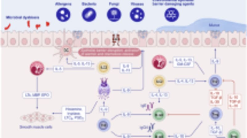 Scientists Find Why Some People Never Get Allergies - Image 3