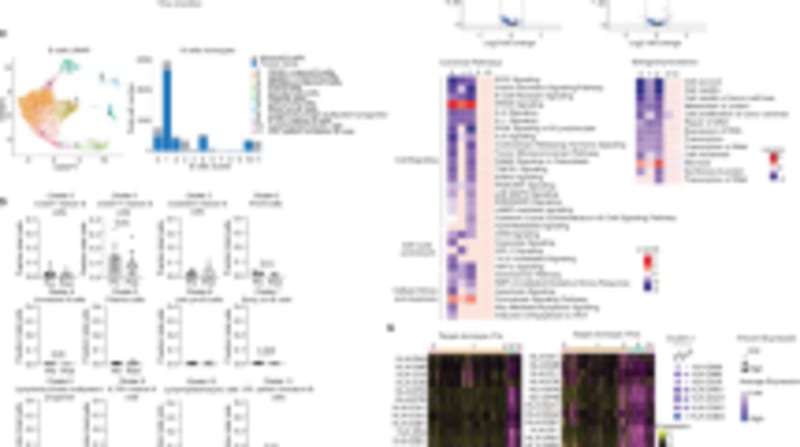 Cancer Vaccine Keeps 11 Breast Cancer Patients Disease-Free - Image 5
