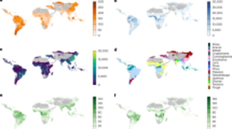 Global Study: Forests Could Store 8 Billion Tons CO₂ by 2050 - Image 4