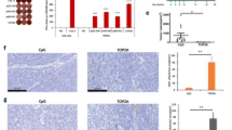 Cancer Vaccine Keeps 11 Breast Cancer Patients Disease-Free - Image 3