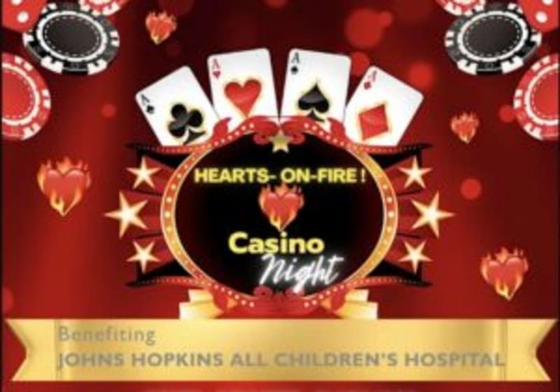 Tampa Bay Groups Need Volunteers for Community Impact - Image 3