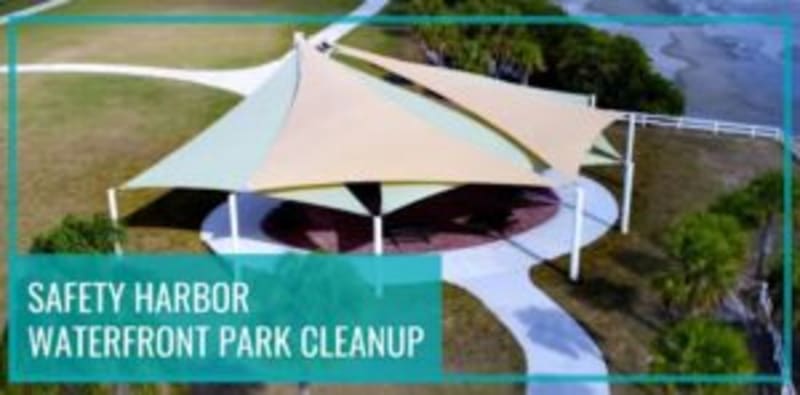 Tampa Bay Groups Need Volunteers for Community Impact - Image 4