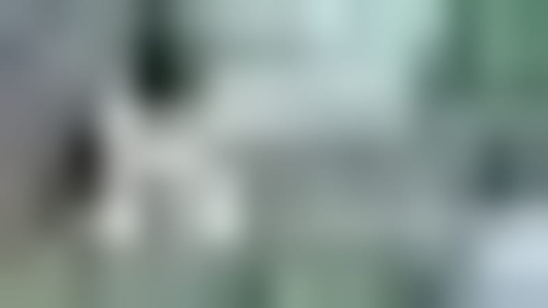 Alabama Firefighters Save Woman Trapped Under Car - Image 5