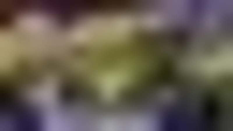 Firefighter Dives Into Icy Pond to Save Trapped Dog - Image 5