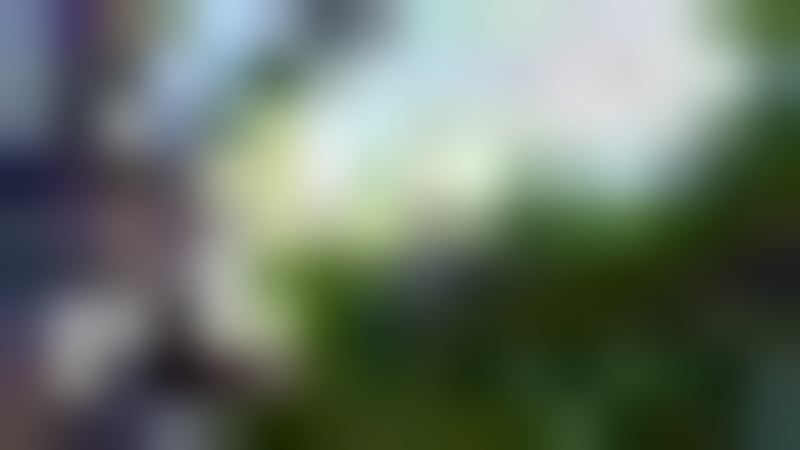 Veterans Clear Storm Debris for Mississippi Homeowners - Image 4