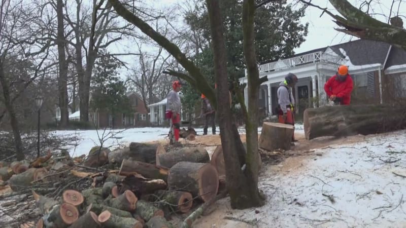 Veterans Clear Storm Debris for Mississippi Homeowners - Image 2