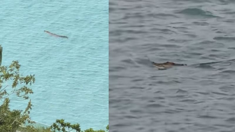 Singapore Launches National Space Agency This April - Image 5