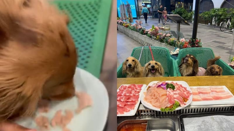 Singapore Launches National Space Agency This April - Image 2