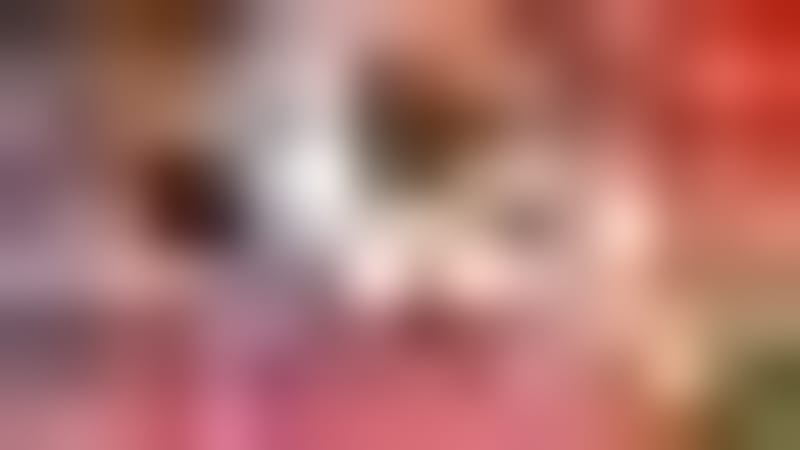 Arlington Firefighters Rescue Dog From Burning Home - Image 4