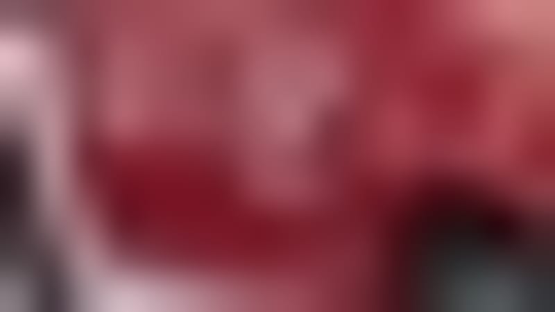 Arlington Firefighters Save Dog, Contain Fire in 30 Minutes - Image 2