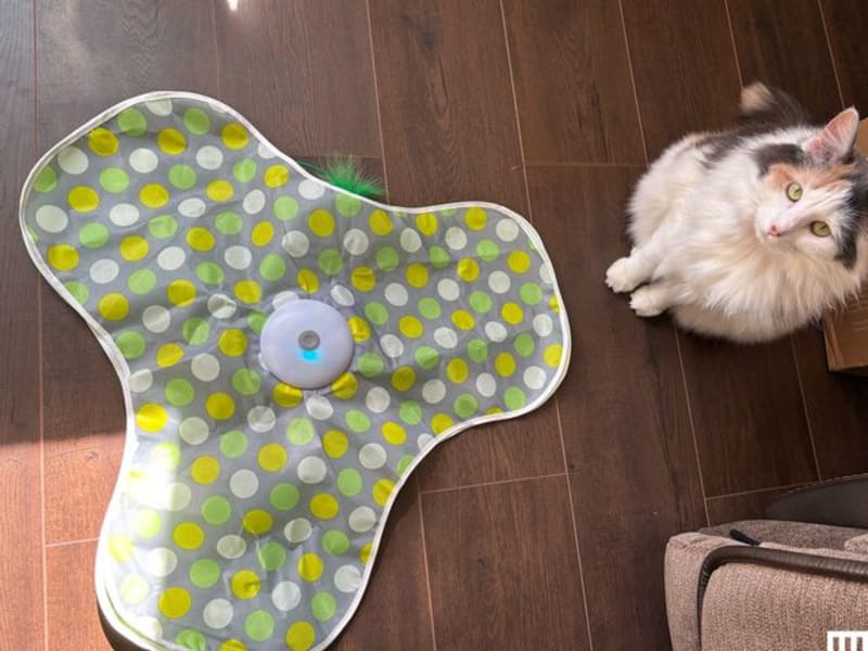 Discover the Joy: Perfect Toys That Keep Your Beloved Cat Happy and Entertained - Image 2
