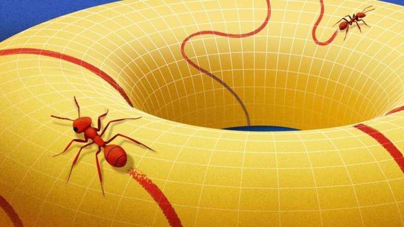 Scientists Make Exciting Breakthrough in Quest to Discover Leonardo da Vinci's DNA - Image 5