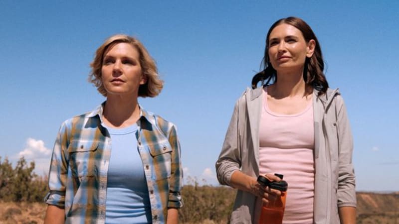 21 Baby Right Whales Born This Season—A Rare Boom - Image 5