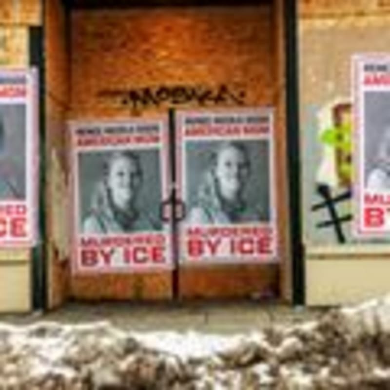 Austrian Cow Veronika Uses Tools Like Chimps Do - Image 4