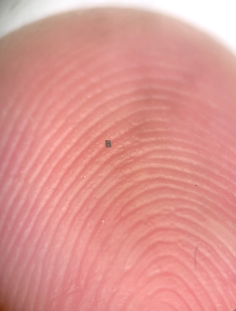 Tiny Robot Smaller Than Salt Grain Swims Solo in Water - Image 2