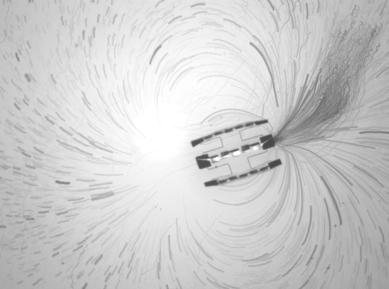 Tiny Robot Smaller Than Salt Grain Swims Solo in Water - Image 3